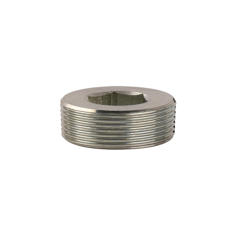 Screw plug — Carbon steel pipe fittings OEM / ODM